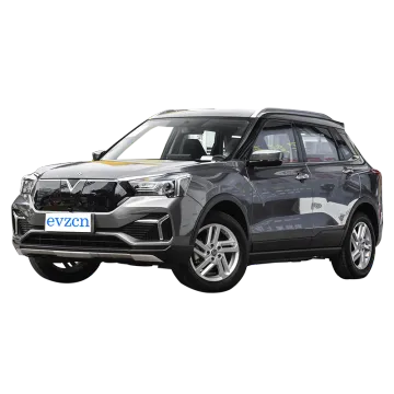 Venucia T60 Taxi Car Electric Vehicle Rental Electric Car New Energy Vehicles Suitable for Taxi